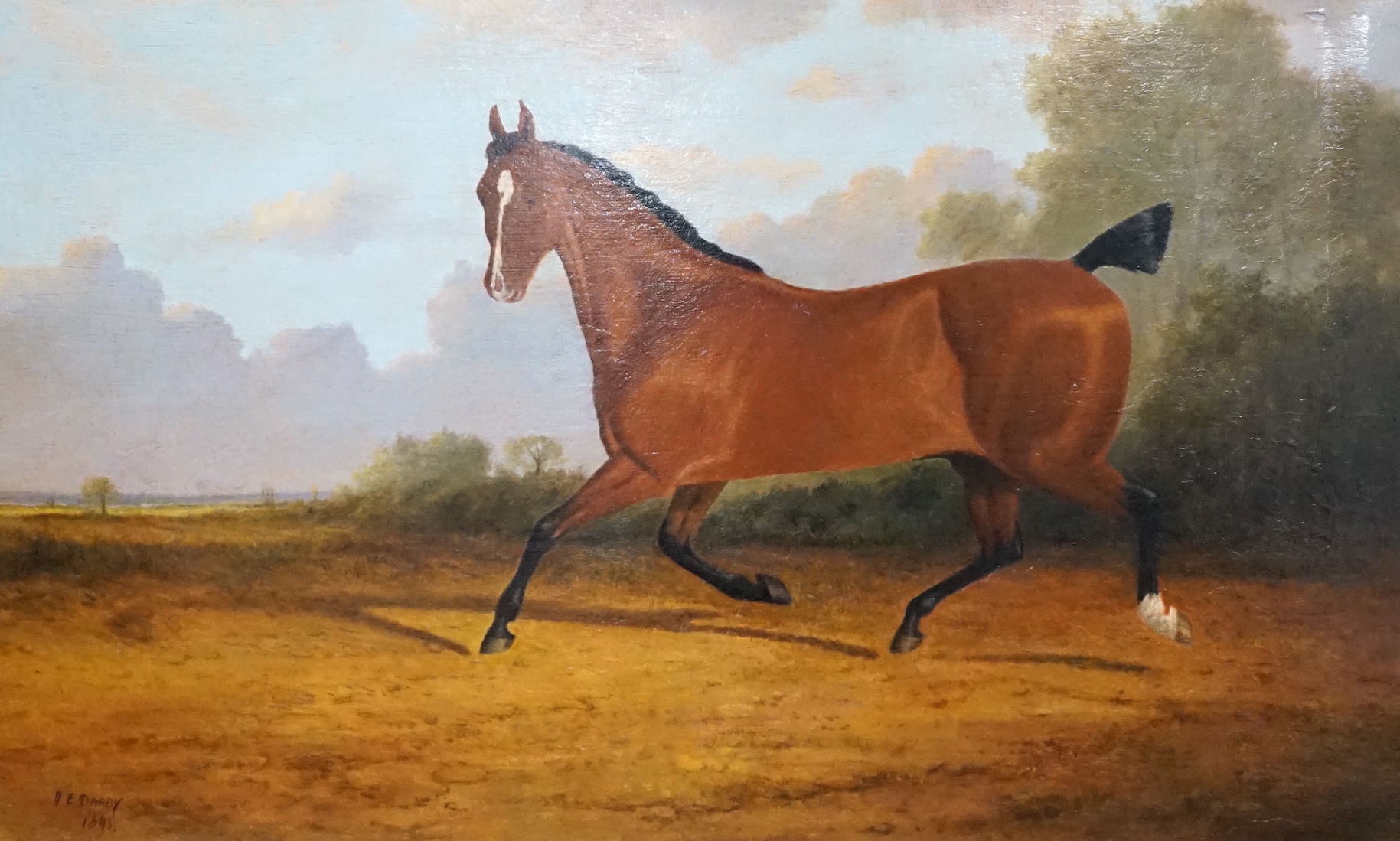 A.E. Darby (19th C.), oil on canvas, Chestnut horse in a landscape, signed and dated 1846, 50 x 76cm, unframed